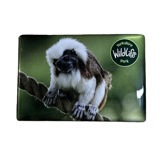 cotton top tamarin fridge magnet with yorkshire wildlifepark logo