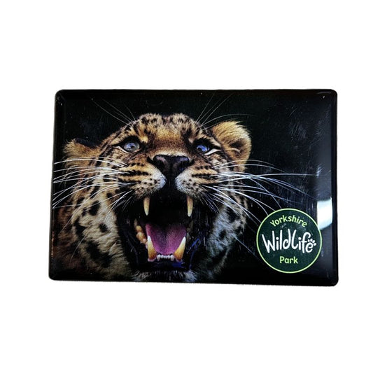 leopard fridge magnet with yorkshire wildlife park logo