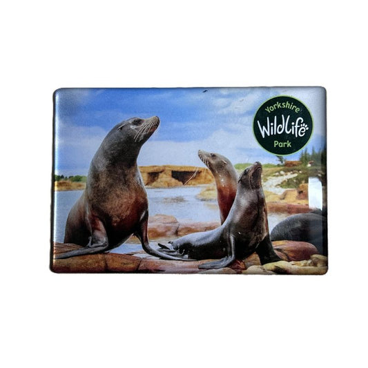 Yorkshire Wildlife Park - Sea Lion Magnet - Rectangular