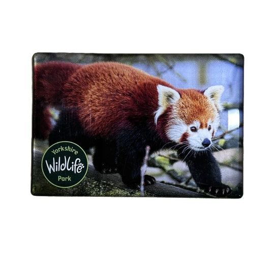 Red panda fridge magnet with Yorkshire Wildlife Park logo