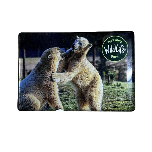 Fridge magnet with two bears and 'Yorkshire Wildlife Park' logo on a white background