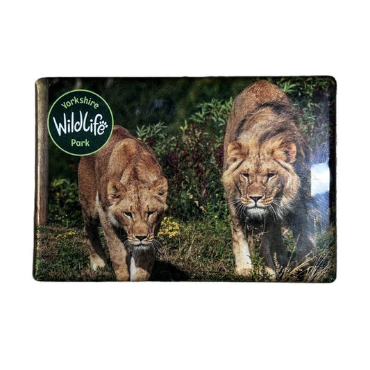 lion fridge magnet with two lions and yorkshire wildlife park logo