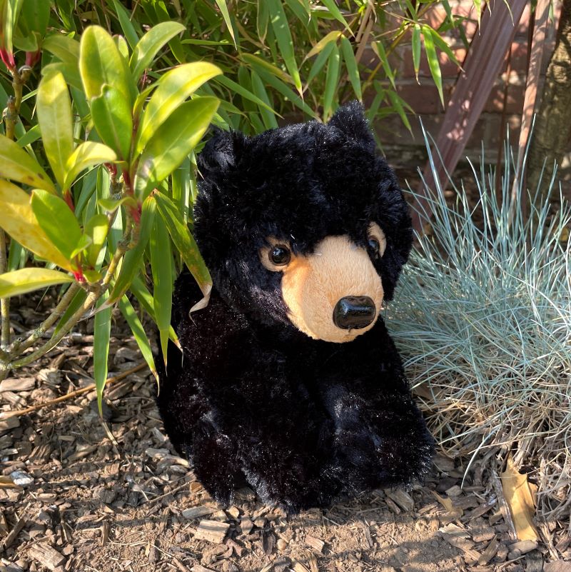 Stuffed black bear toy on sale