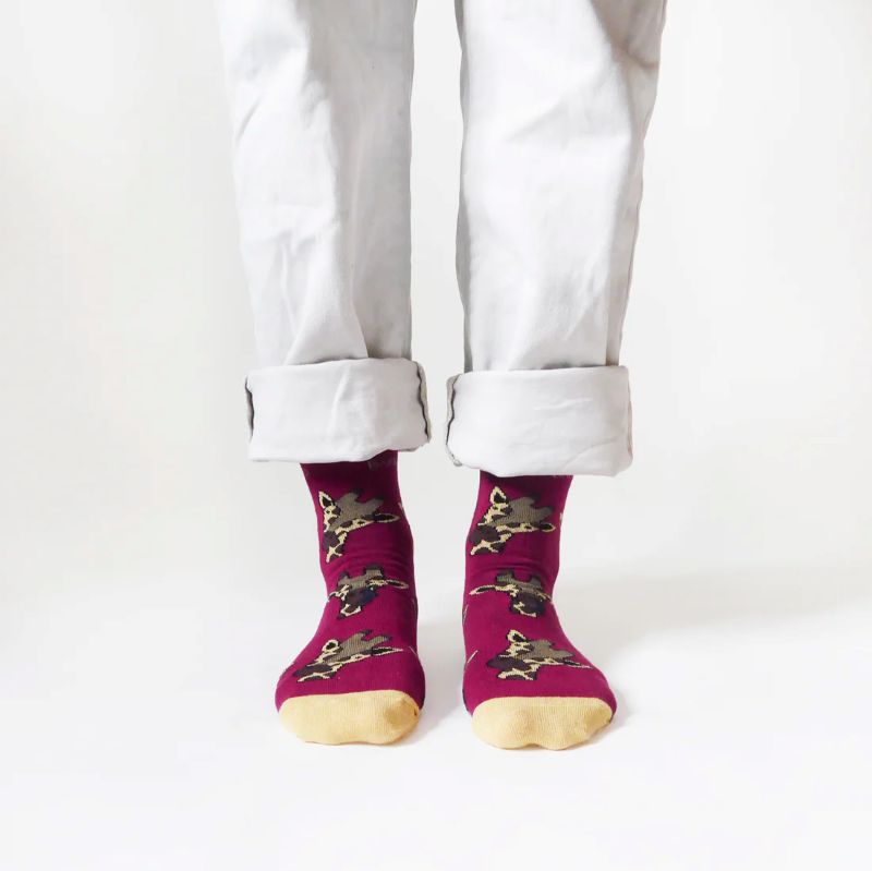 Person wearing magenta socks with cat designs on a white background