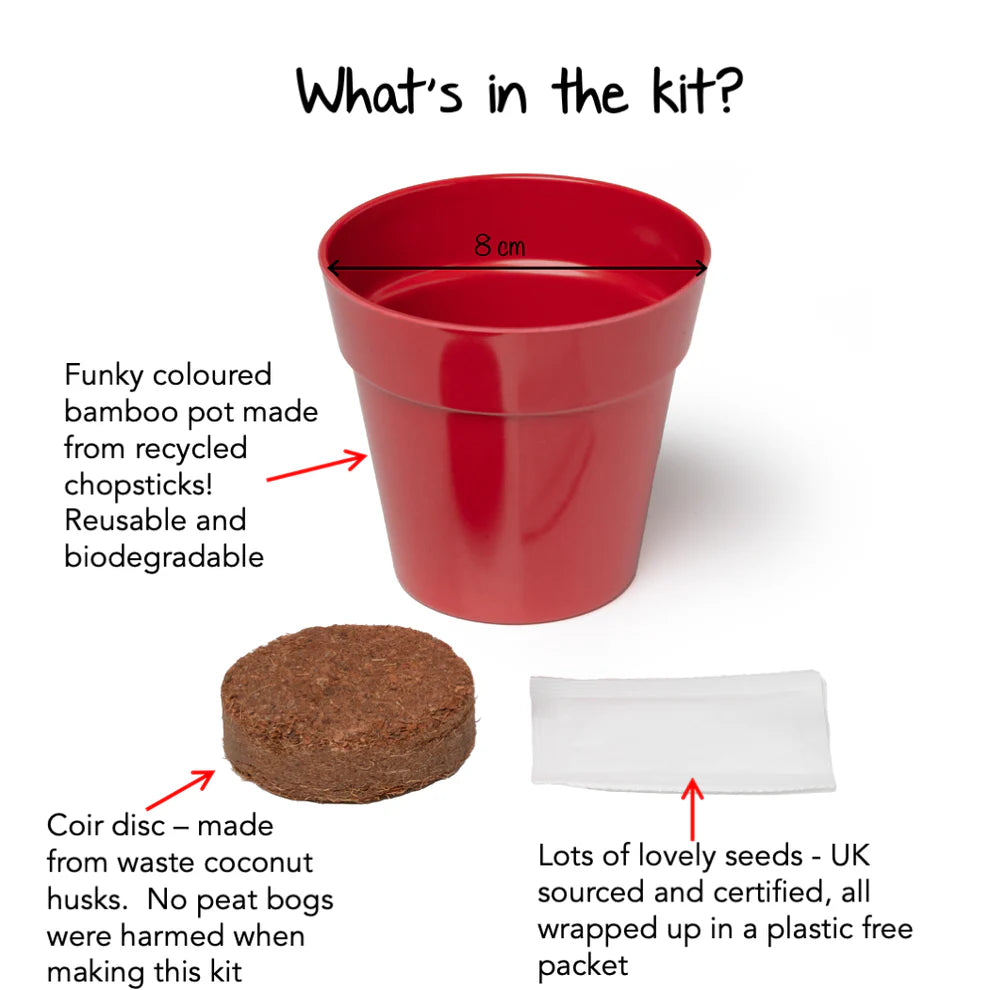 Red bamboo pot with coir disc and plastic-free seed packet, labeled 'What's in the kit?'.