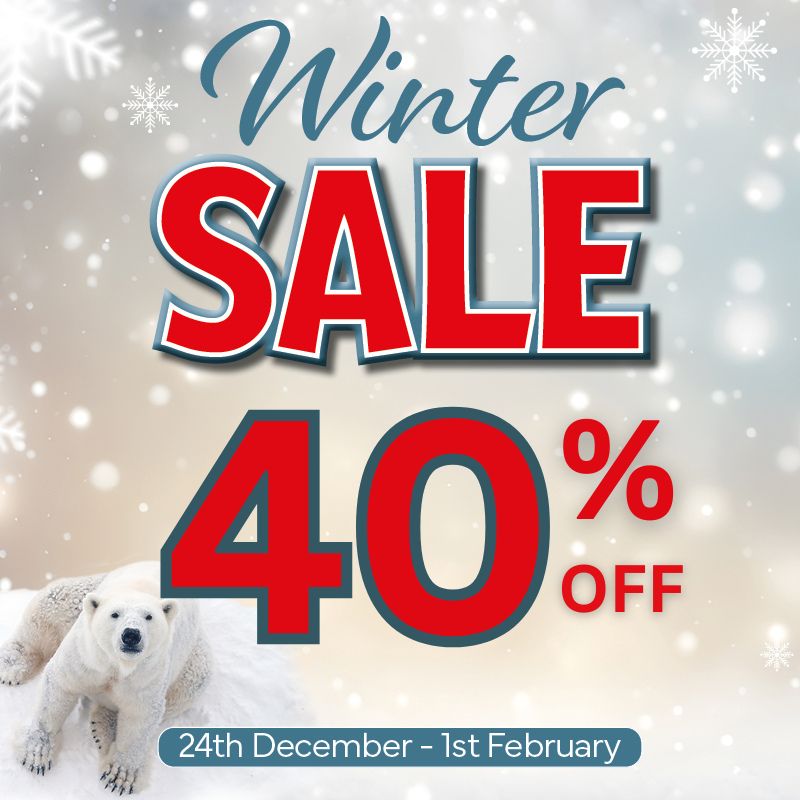 40% OFF - ANIMAL ADVENTURE GAME