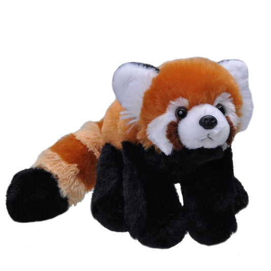 Red Panda - Medium Soft Toy  - 20cm