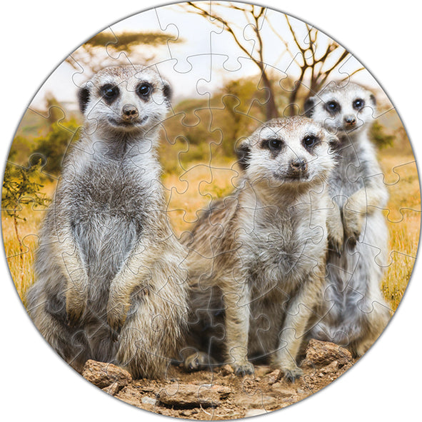 Puzzle Round Meerkat - 56 pcs