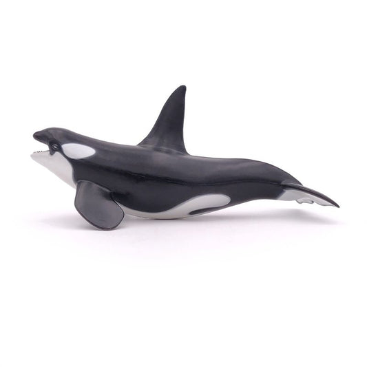 Orca