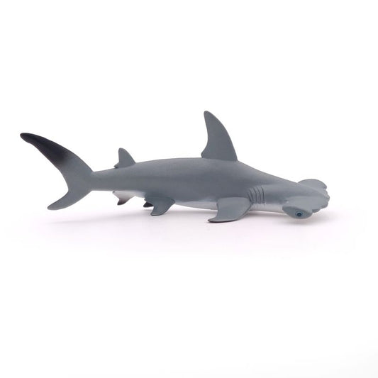 Hammerhead Shark