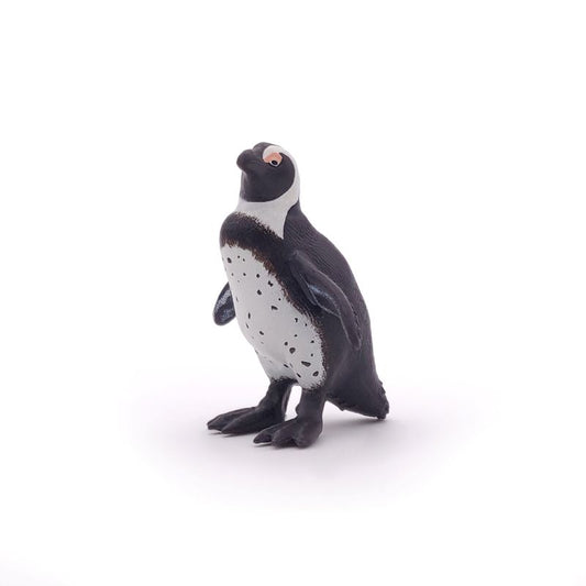 African Penguin