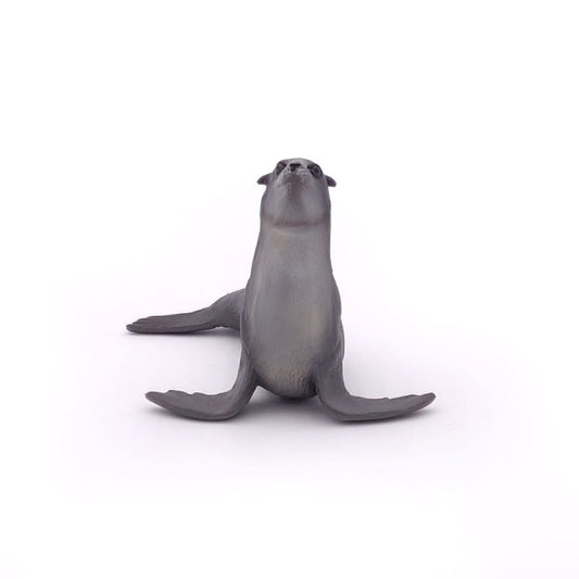 Sea Lion