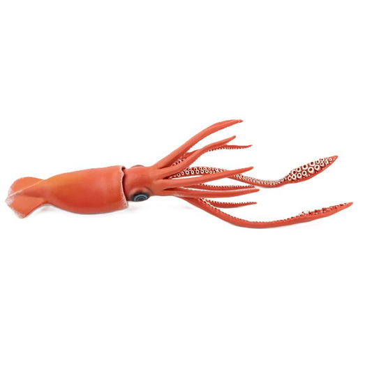 Giant Squid
