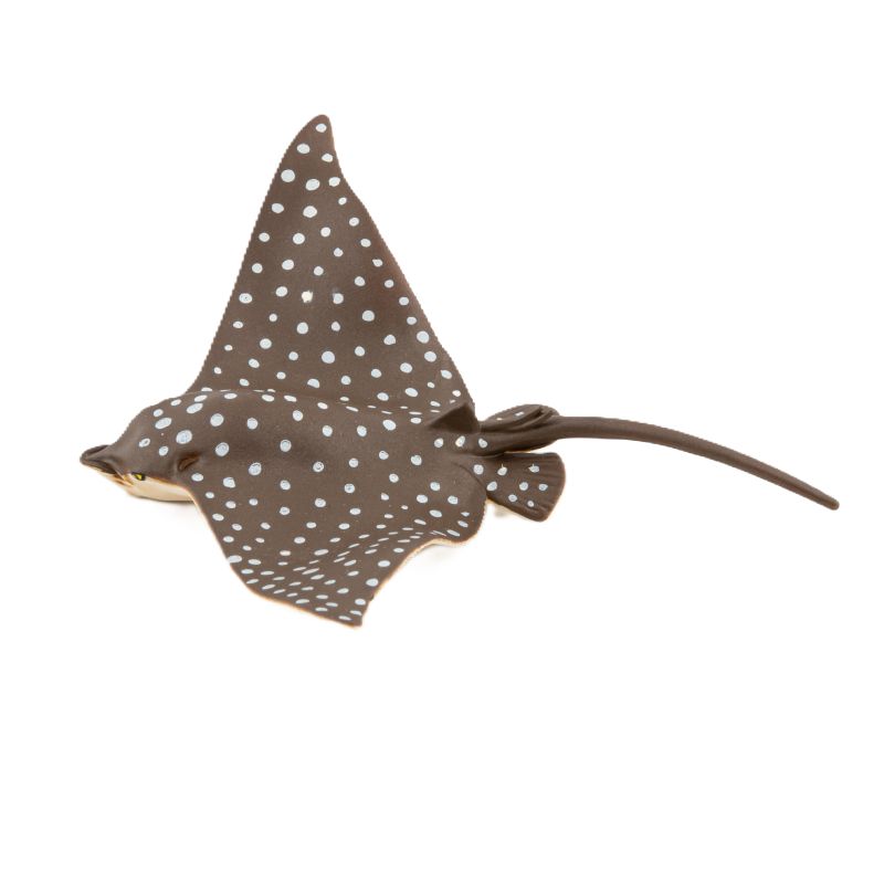 Leopard Ray – Yorkshire Wildlife Park