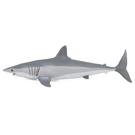 Mako Shark
