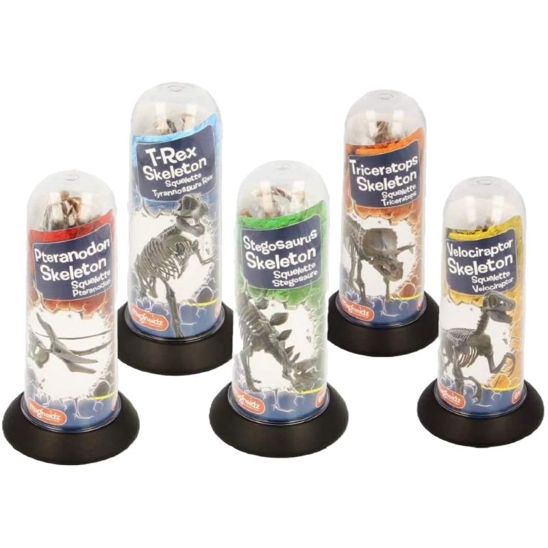 dinosaur skeleton 3d kids set