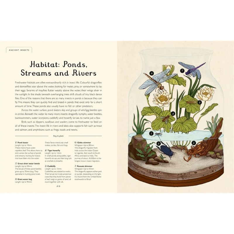 Kids Book - Insectarium - Junior Edition