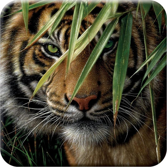 Cork Coaster - Tiger  - 3D