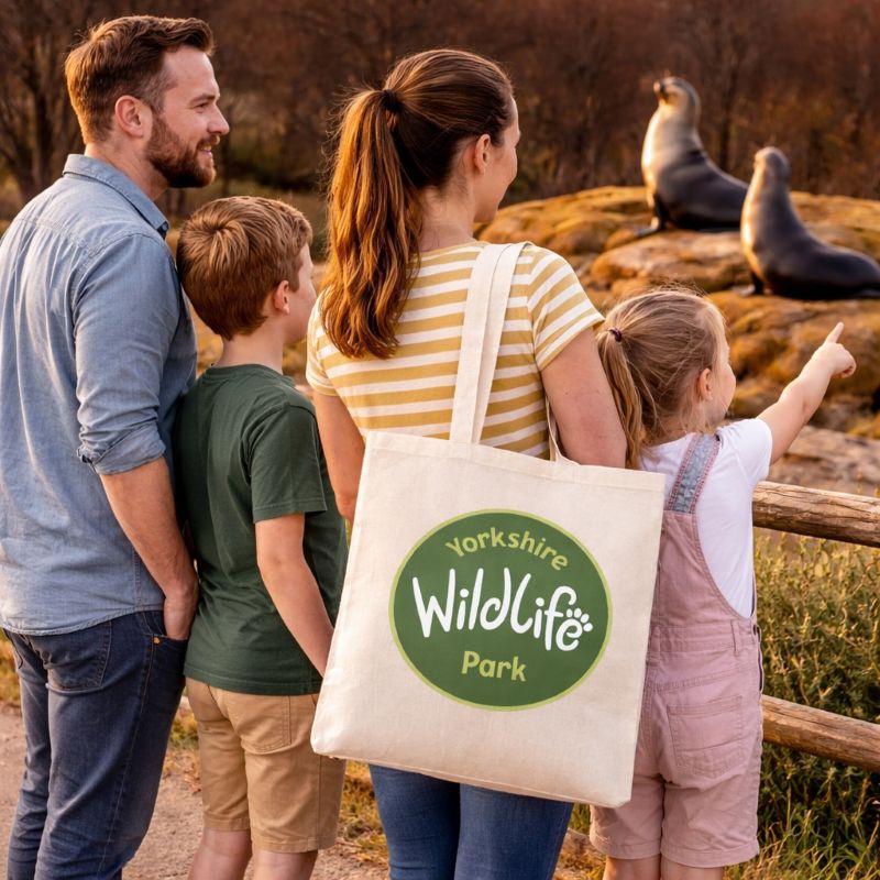 Family at Yorkshire Wildlife Park with seals in the background