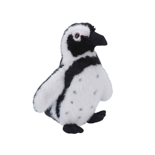 Plush toy penguin on a white background