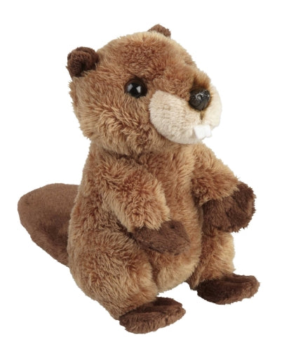 Beaver - Small Soft Toy - 15cm