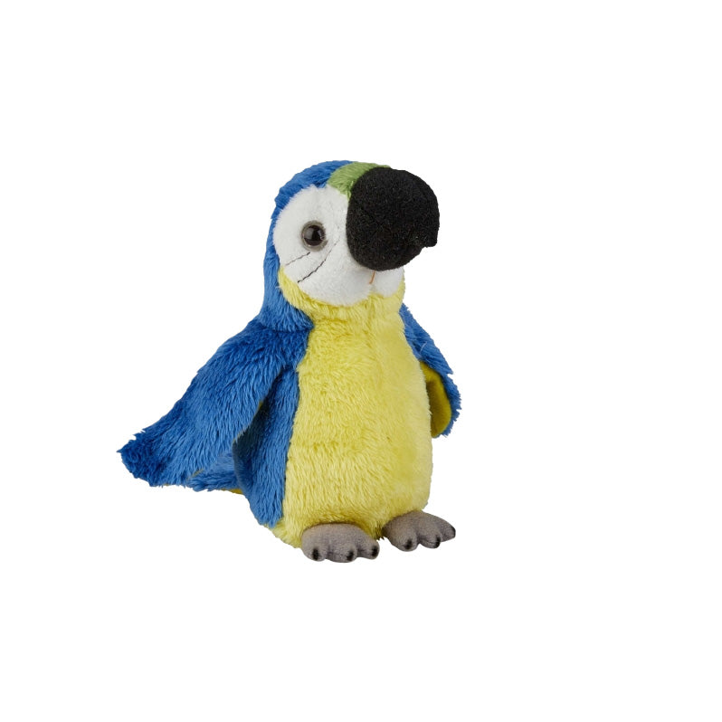 Blue and gold macaw soft toy on a white background