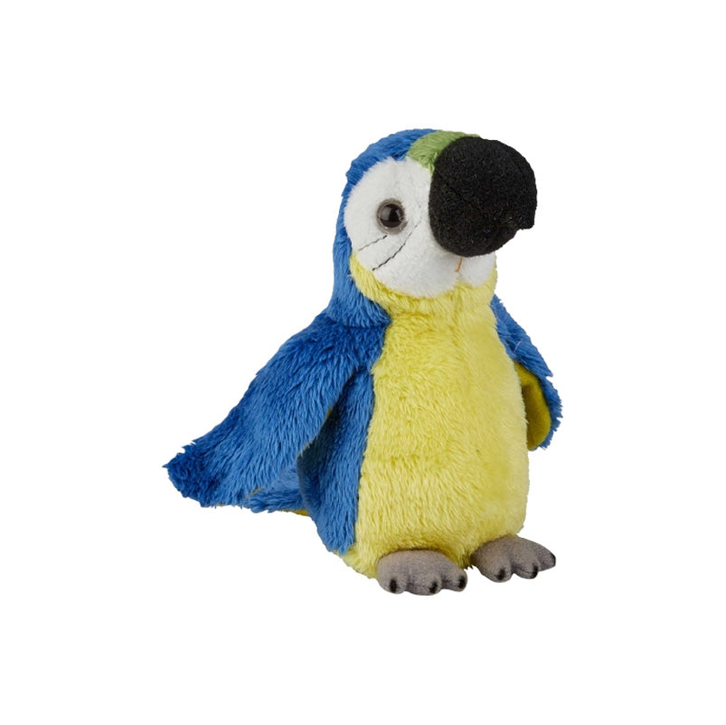 Blue and gold macaw soft toy on a white background