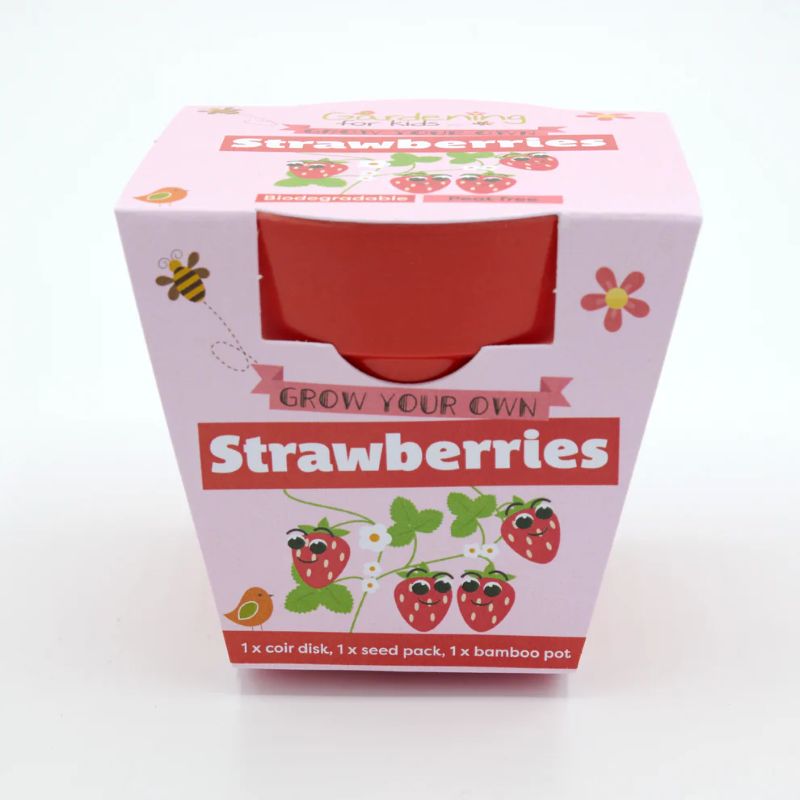 Children's Grow Your Own Strawberries Growing Kit