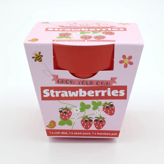 Children's Grow Your Own Wild Strawberries Growing Kit