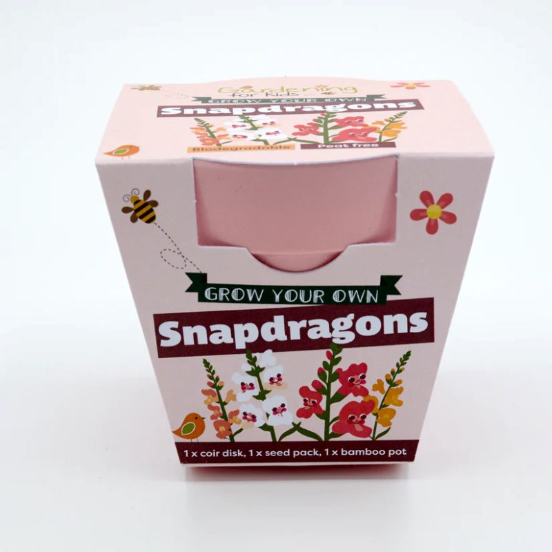 Children's Grow Your Own Snapdragons Growing Kit