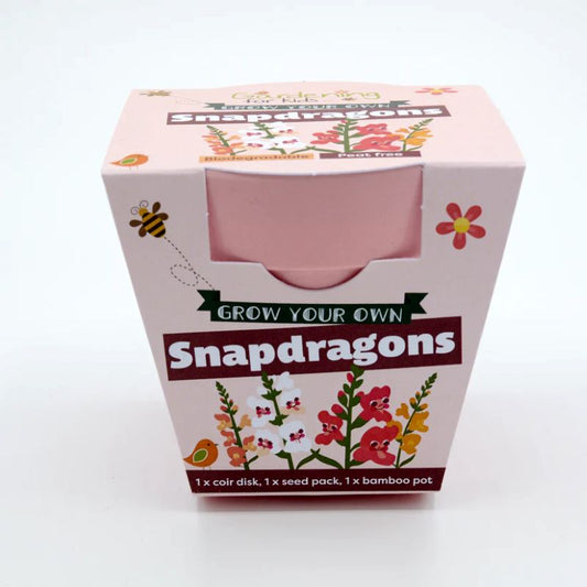 Children's Grow Your Own Snapdragons Growing Kit