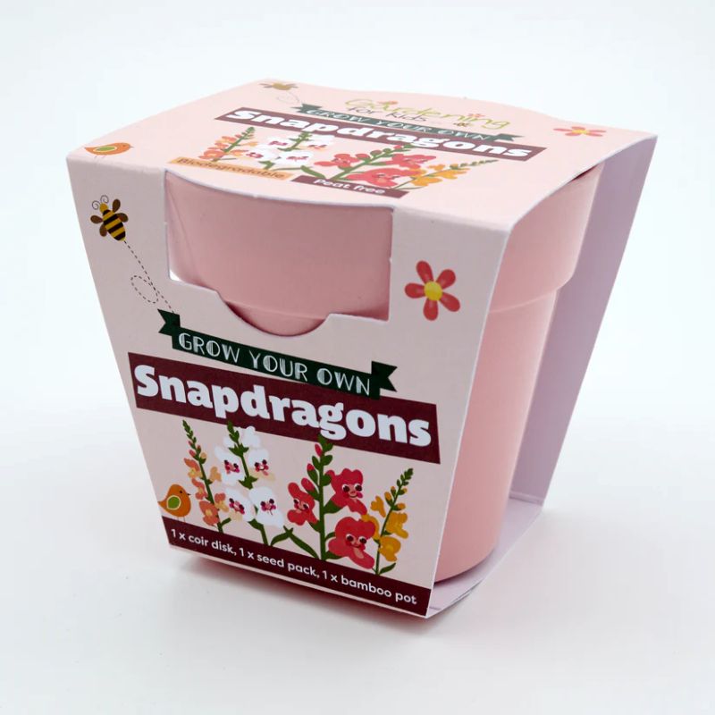 Children's Grow Your Own Snapdragons Growing Kit