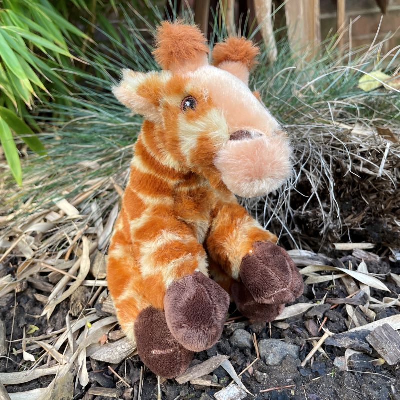 Giraffe - Eco Medium Soft Toy