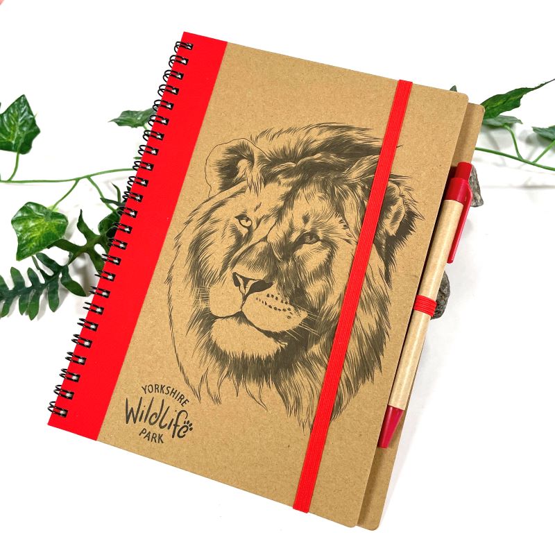 Eco Notebook & Pen Lion