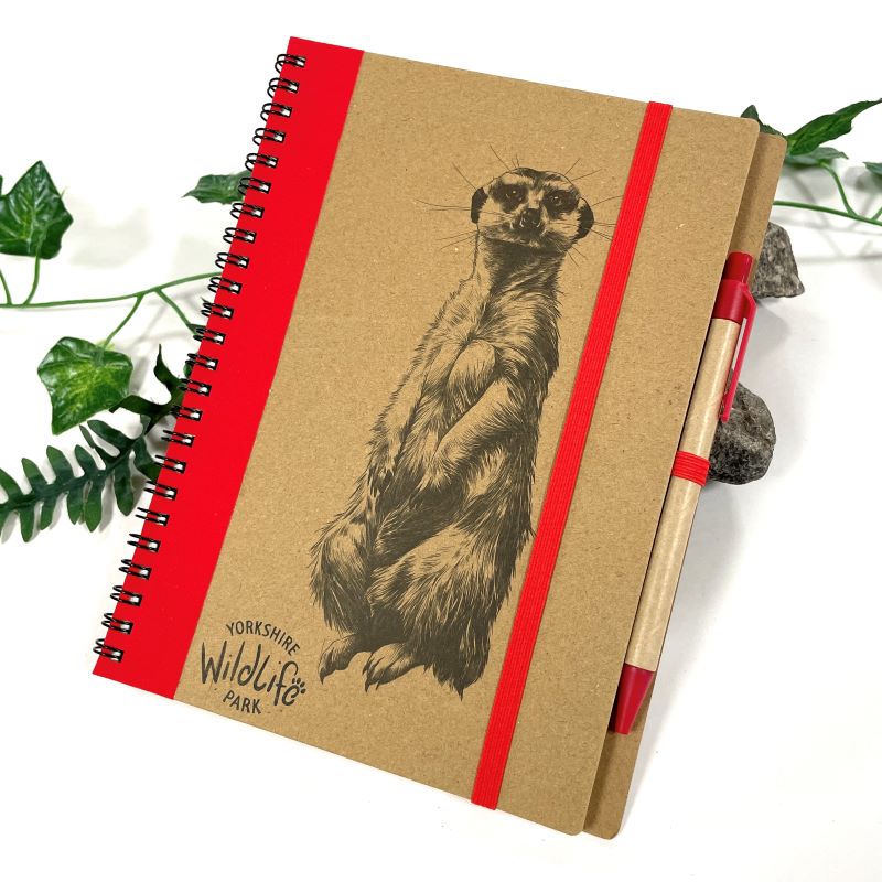 Eco Notebook & Pen Meerkat