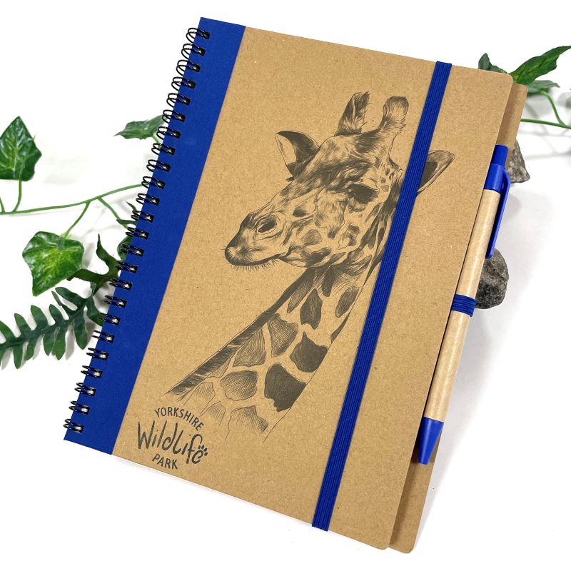 Eco Notebook & Pen Giraffe