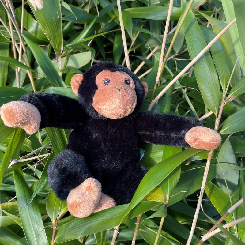 Chimpanzee - Eco Medium Soft Toy