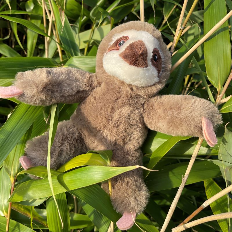 Sloth - Eco Medium Soft Toy