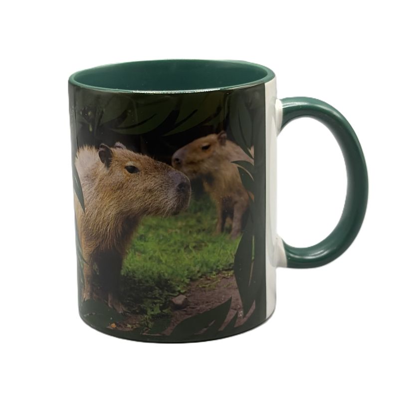 A ceramic mug with a dark green handle and interior, featuring a printed graphic of two capybara animals in a grassy outdoor setting on a white background.
