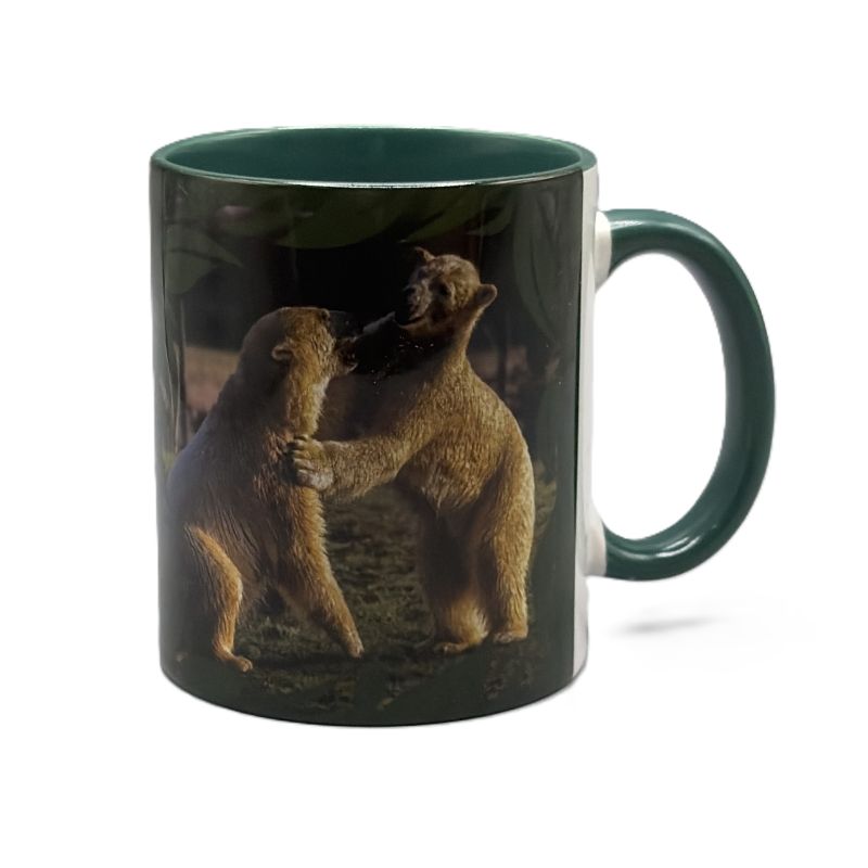 A ceramic mug with a dark green handle and interior, featuring a printed graphic of two polar bears standing on their hind legs and facing each other. The mug is photographed against a clean white background.