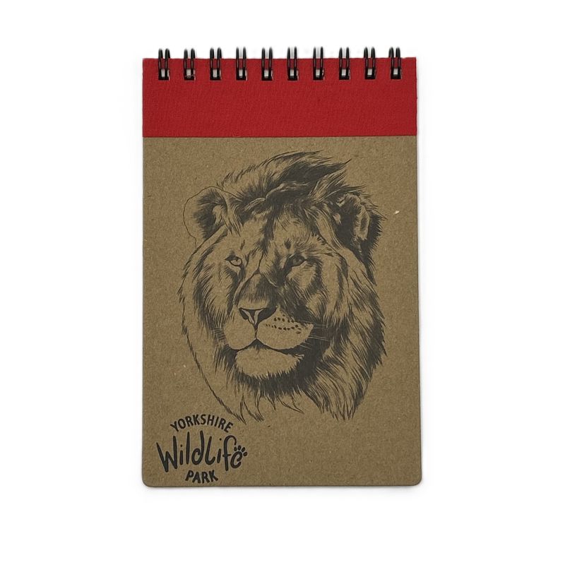 Eco Notebook Lion - A6 – Yorkshire Wildlife Park