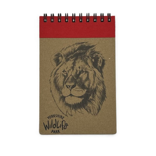 Eco Notebook Lion - A6