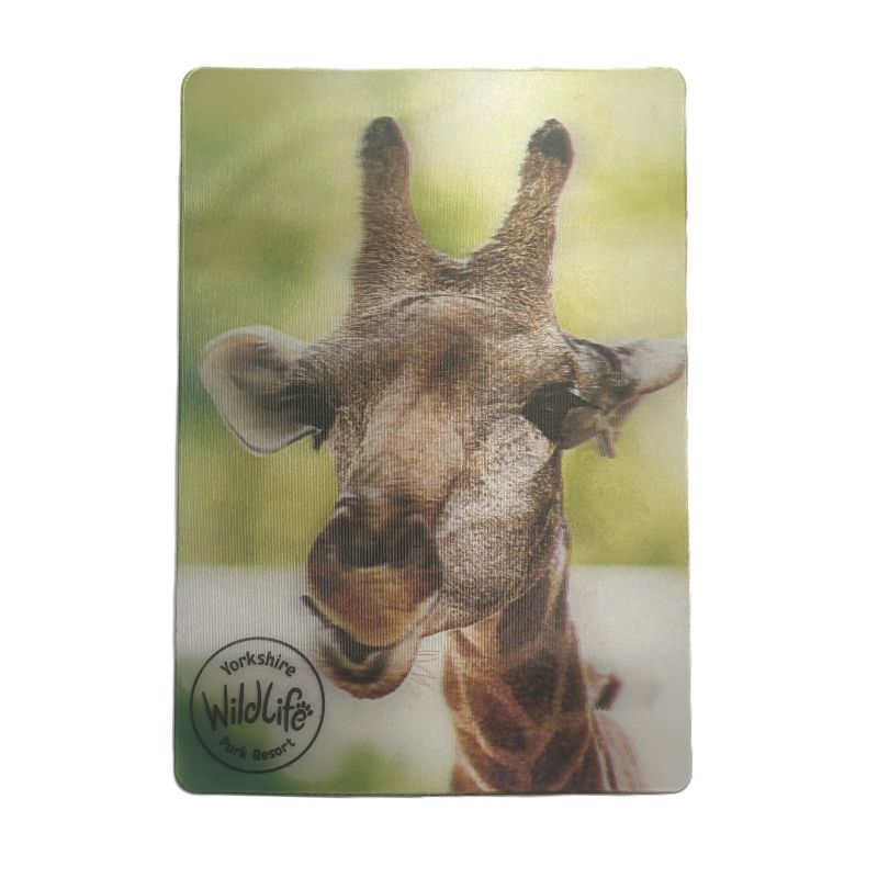 Yorkshire Wildlife Park - Giraffe - 3D Magnet