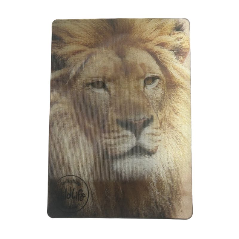 Yorkshire Wildlife Park - Lion - 3D Magnet