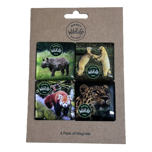 Packaging of 4 wildlife-themed magnets with visible brand logo on a plain background