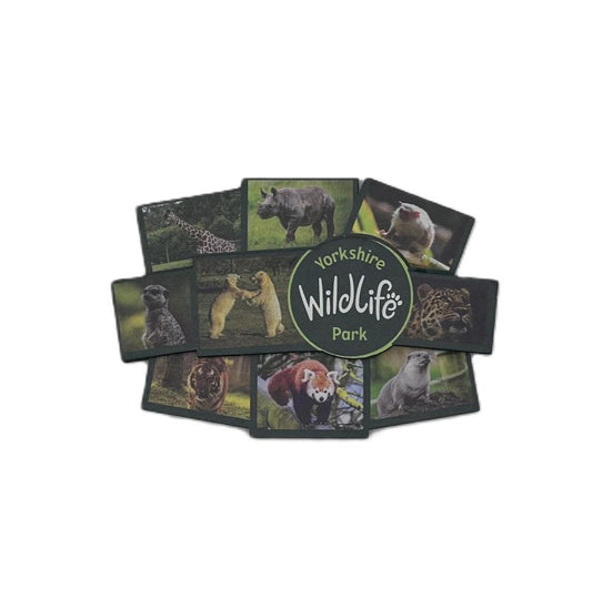 Yorkshire Wildlife Park  - Multipicture Magnet