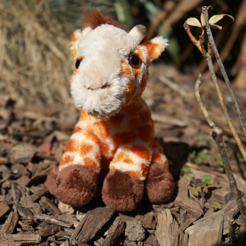 Giraffe - Small Soft Toy