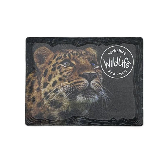ceramic magnet with a leopard, featuring the Yorkshire Wildlife Park logo