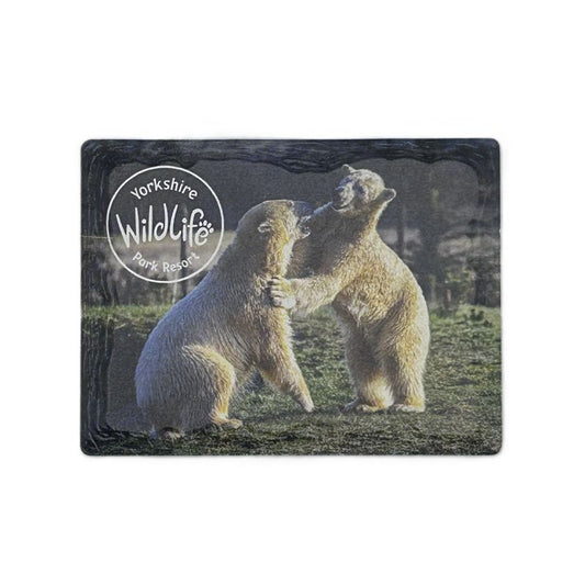 ceramic magnet with two bears interacting on a grassy field, featuring the Yorkshire Wildlife Park logo