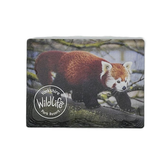 ceramic magnet with a red pada featuring the Yorkshire Wildlife Park logo